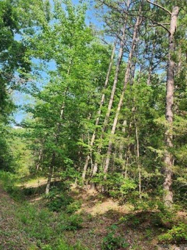 0 Owen Circles, Fairfield Bay, AR 72088 - photo 4