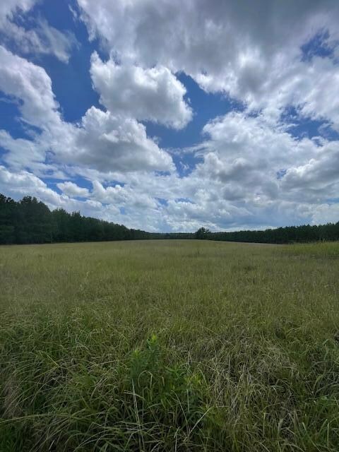 Pasture3