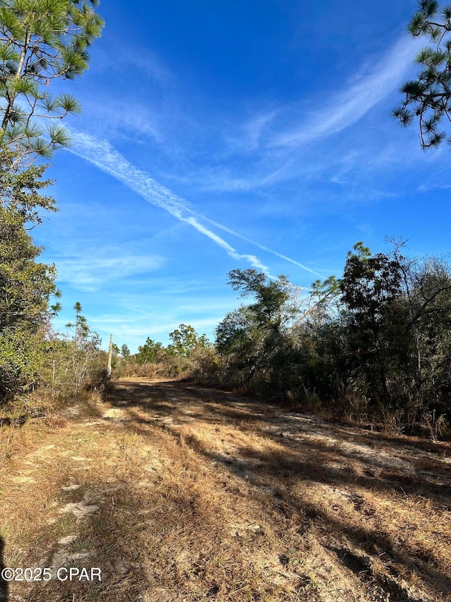 3015 Castillo Dr, Alford, FL 32420 - photo 4