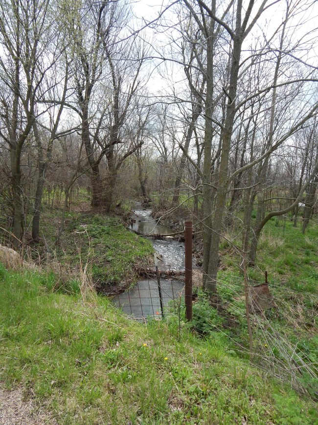 Year round Creek