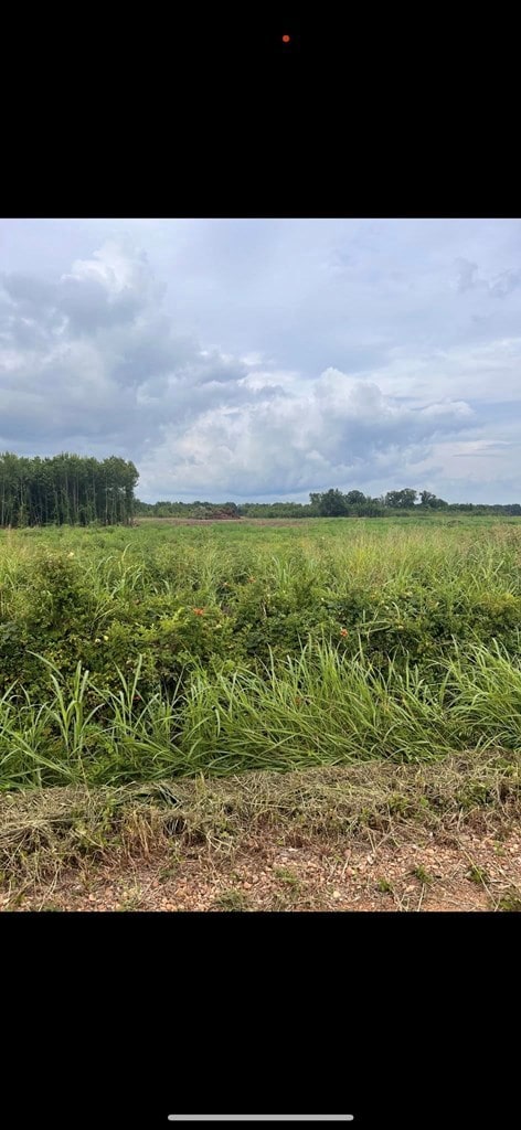 000 Crawfordsville Rd, Proctor, AR 72376 - photo 2