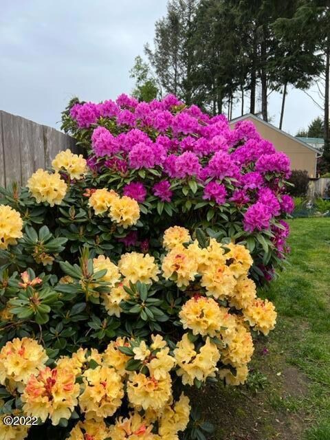 501 SE Neptune Ave, Lincoln City, OR 97367 - photo 3