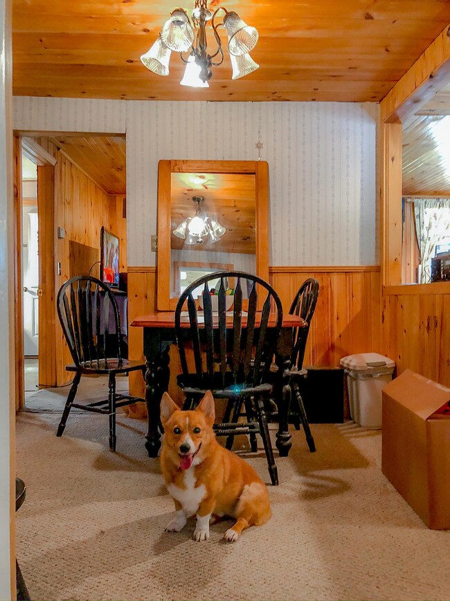 19 Jernegan Ave, Edgartown, MA 02539 - photo 6