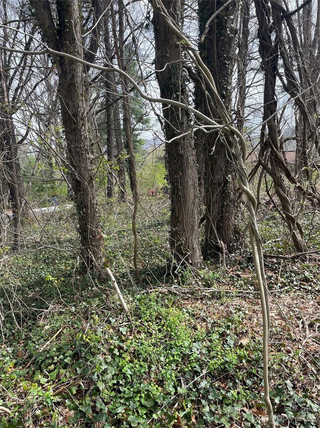 99999 W Chapel Rd, Asheville, NC 28803 - photo 4