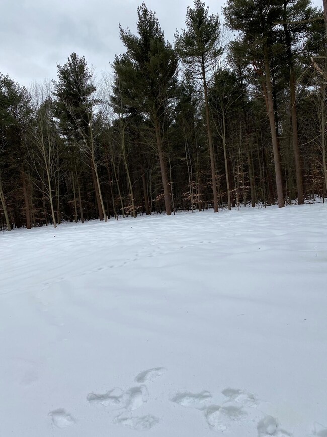 Lot 7 Fillmore cleared build site 2
