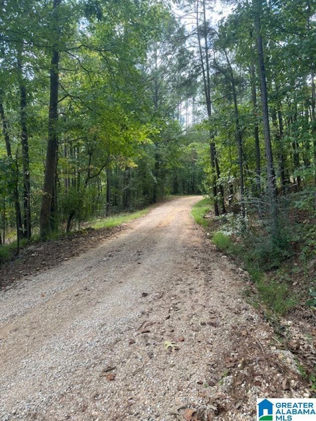 2227 Harris Wright Dr, Birmingham, AL 35242 - photo 6