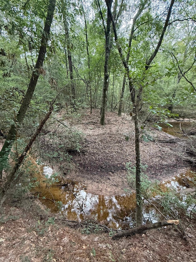 2905 County Road 441, Magnolia Springs, TX 75956 - photo 5