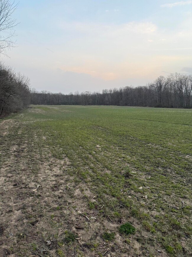 41177 38th Ave, Paw Paw, MI 49079 - photo 5