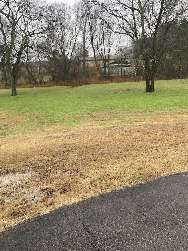 109 Mimi Cir, Pulaski, TN 38478 - photo 5