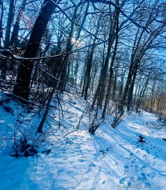 71 Dunbar Hill Rd, Hamden, CT 06514 - photo 6