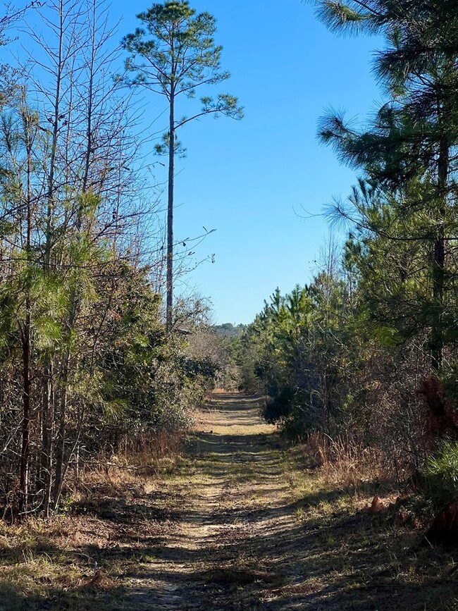 00 Herrington Rd, Hazlehurst, GA 31539 - photo 7