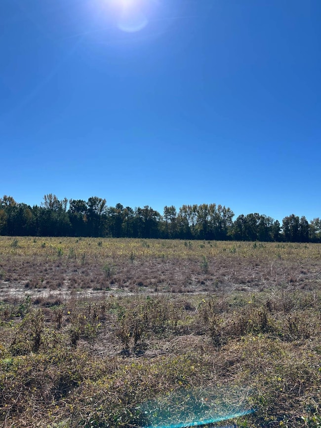 004 Old Wire Rd W, Wallace, SC 29596 - photo 5