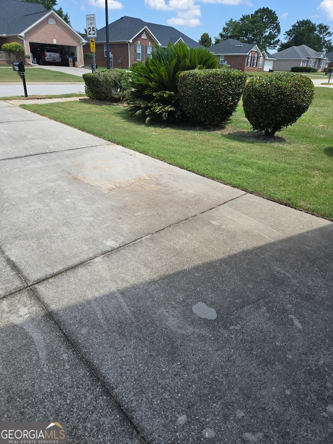 Front/Side of Yard