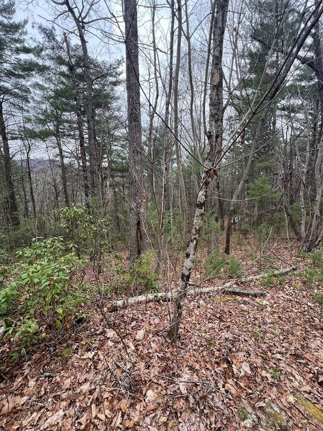 Tract 14 Eagles View, Highlands, NC 28741 - photo 4