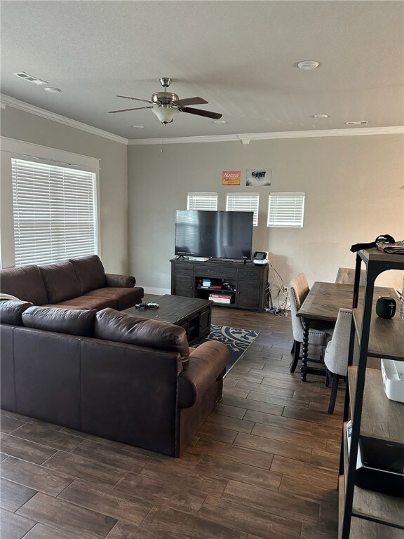 782 Oakland Ave, Fayetteville, AR 72701 - photo 7