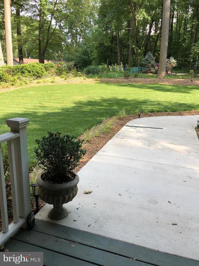 3 Saddlebrook Ct, Silver Spring, MD 20906 - photo 7