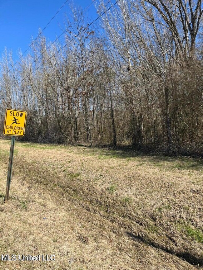 20250226215848670067000000-o