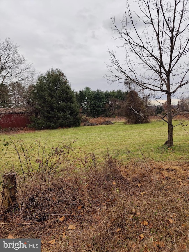 5087 Lower Mountain Rd, New Hope, PA 18938 - photo 7