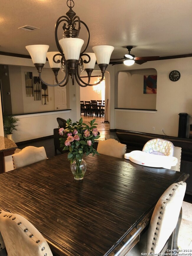 24310 Haeli Park, San Antonio, TX 78255 - photo 6