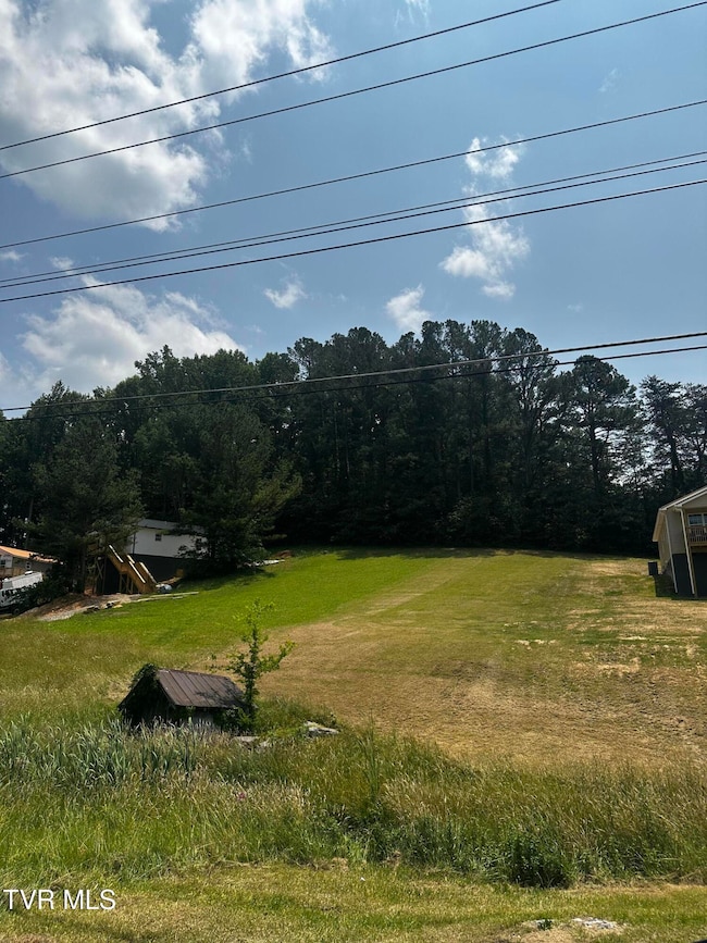 191 Hall Rd, Jonesborough, TN 37659 - photo 3