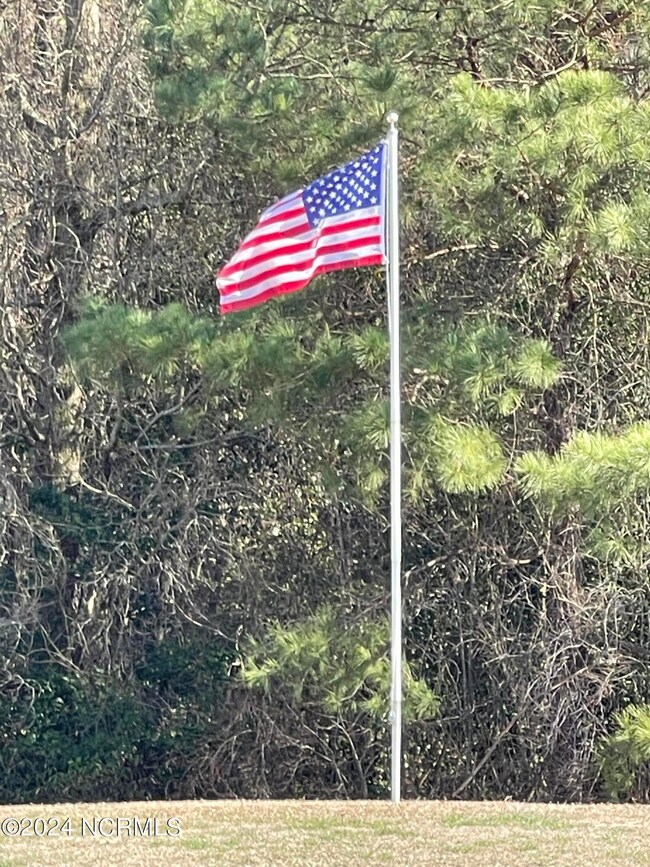 13 Aspen Ridge Ct, Deep Run, NC 28525 - photo 6