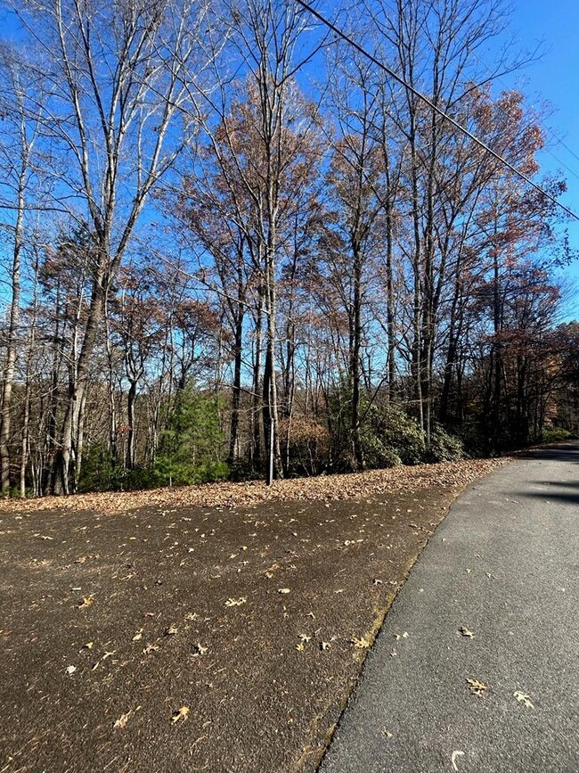 445 Apache Ct, Ellijay, GA 30540 - photo 4