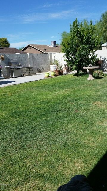 Backyard_view 2