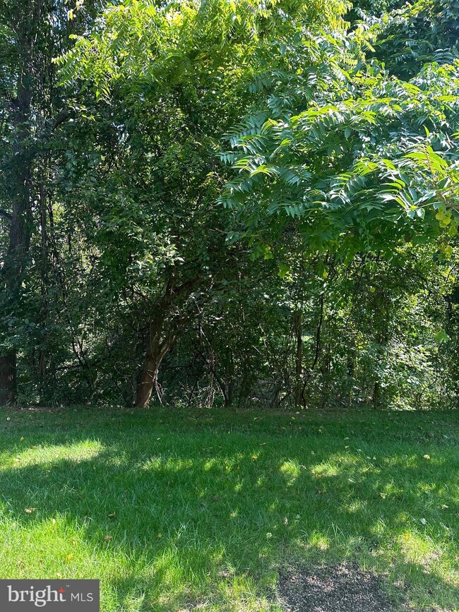 3 Putman Ct, Reisterstown, MD 21136 - photo 5