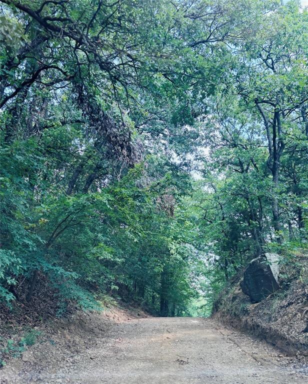View of nature