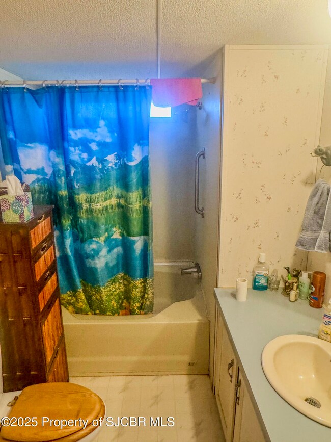 43 Road 3141, Aztec, NM 87410 - photo 4