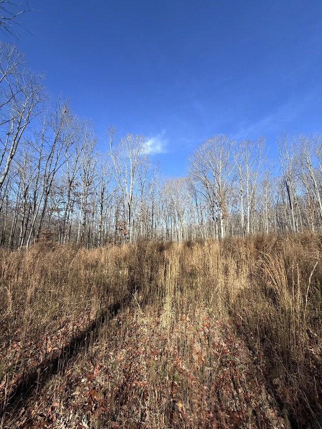 0 Deerwood Dr unit RTC3060905, Sewanee, TN 37375 - photo 4