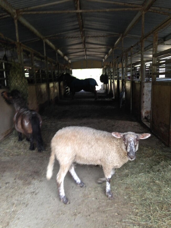 barn_interior