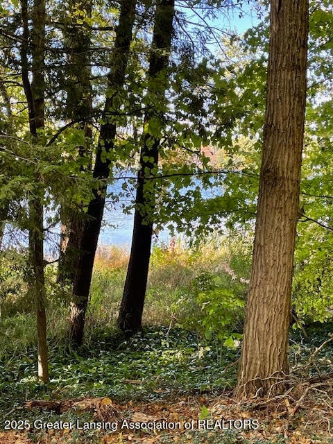 0 E Englewright Dr, Ensley Township, MI 49343 - photo 2