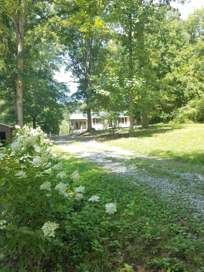 20180729_130439