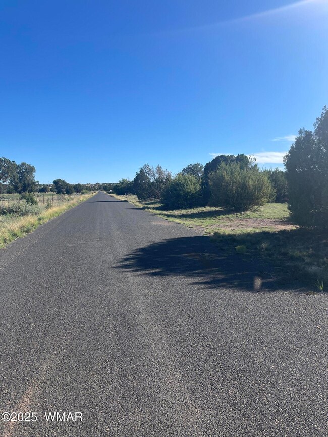 37 Frontage Rd, Concho, AZ 85924 - photo 6
