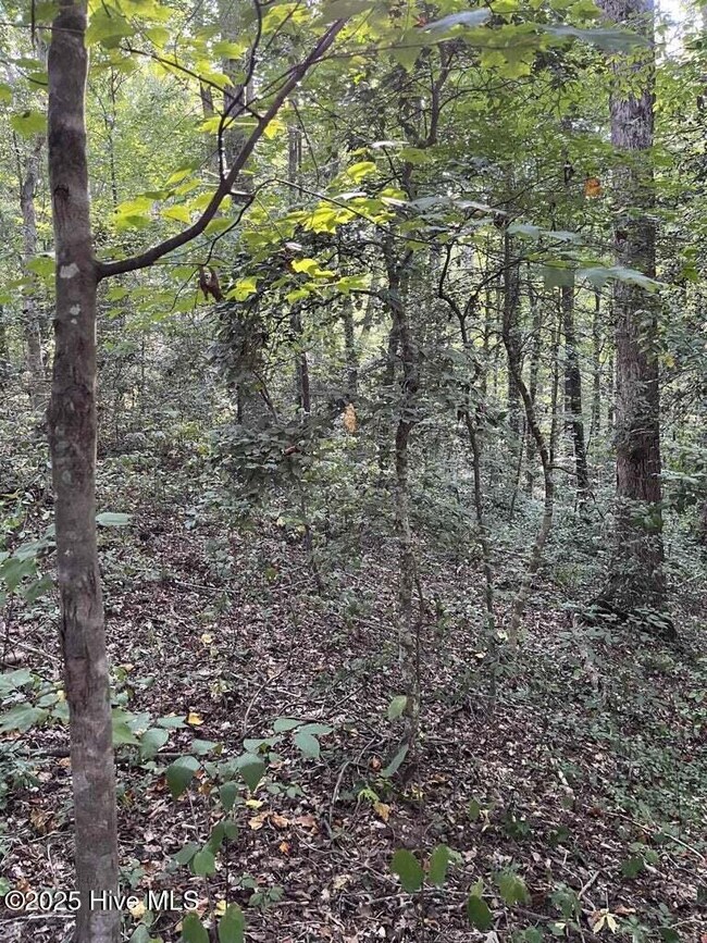 0 Country Canyon Dr, Cordova, NC 28379 - photo 6