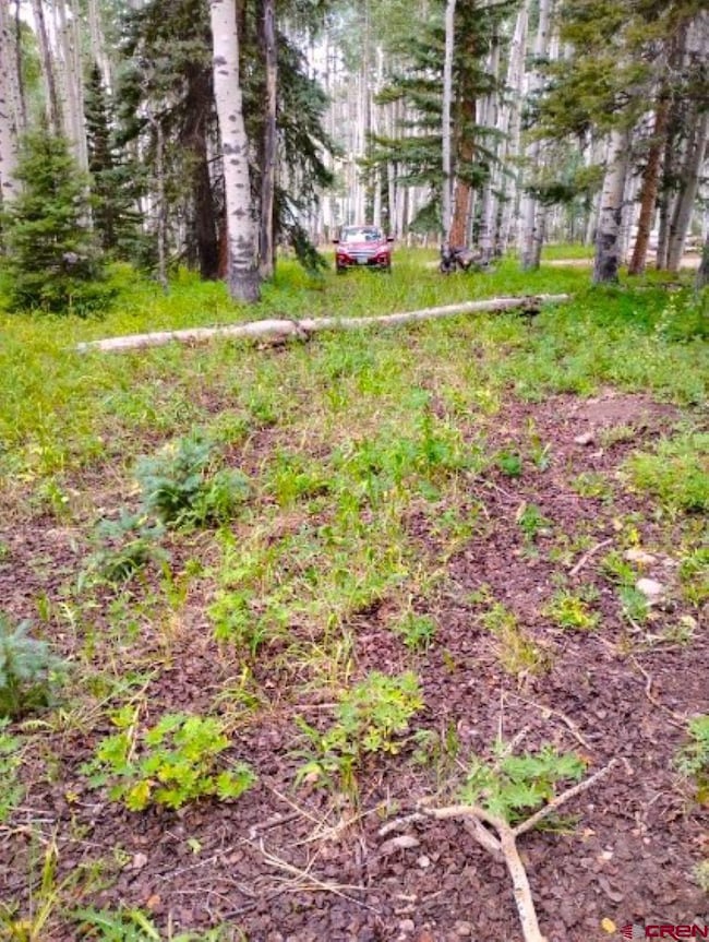 770 Ponderosa Way, Cimarron, CO 81220 - photo 3