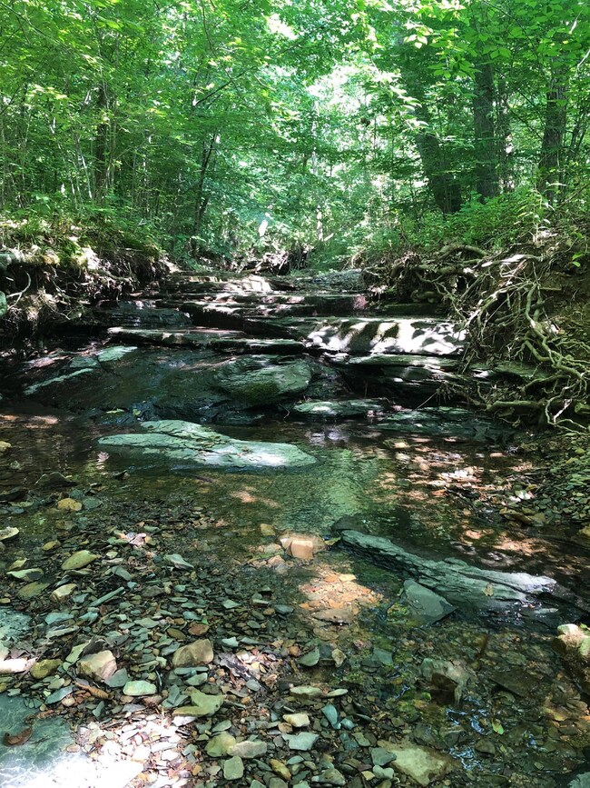 Creek gently rolling through the property. 