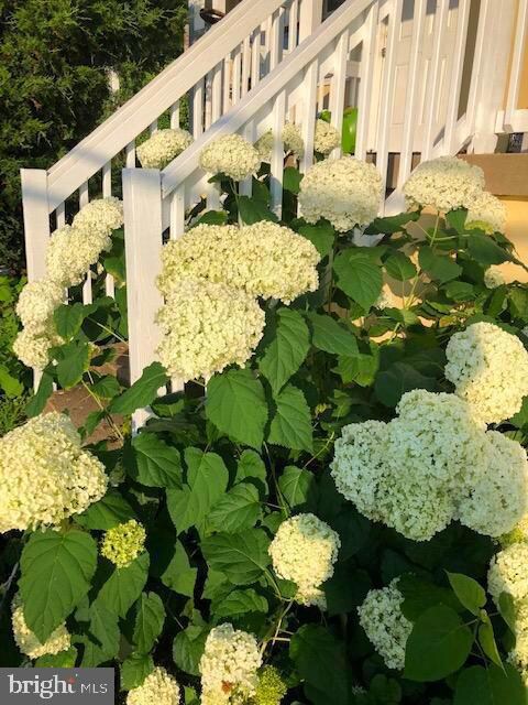 6464 John Barton Payne Rd, Marshall, VA 20115 - photo 5