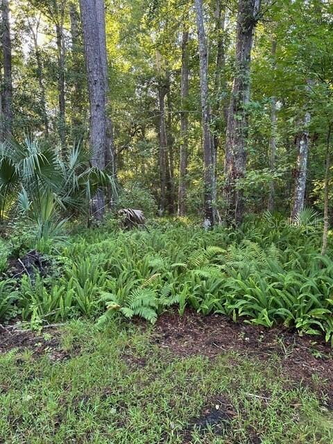 unlisted-address, Sanford, FL 32773 - photo 6