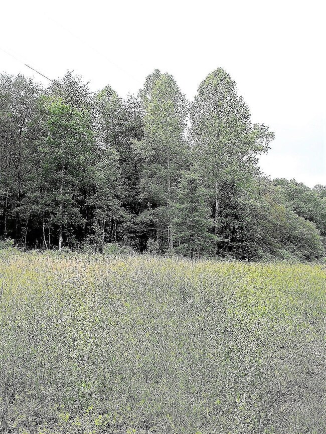 0 Old Mill Creek Rd, Monterey, TN 38574 - photo 3