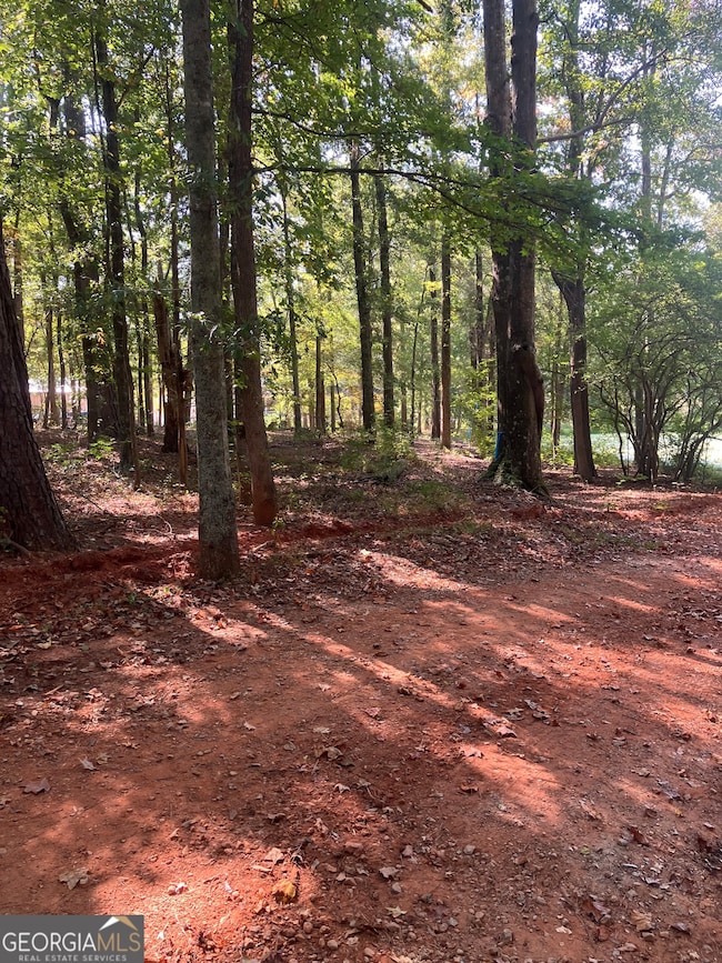 0 Teasley Trail unit 10600969, Moreland, GA 30259 - photo 5