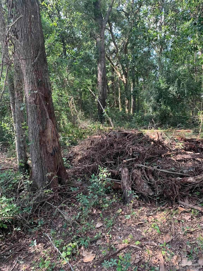 165 Commercial Dr, Cantonment, FL 32533 - photo 2