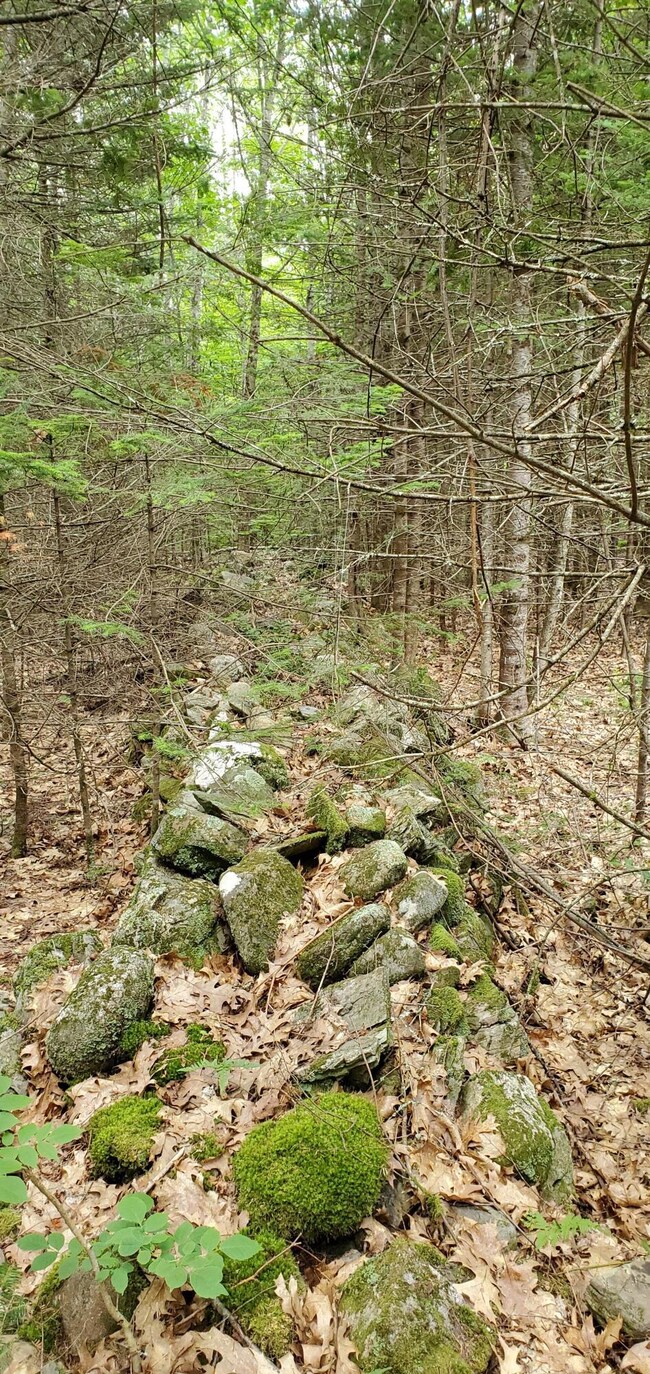 rock wall