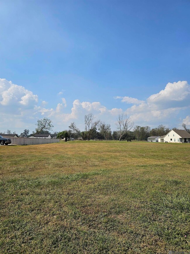38552 Louisiana 942, Darrow, LA 70725 - photo 3