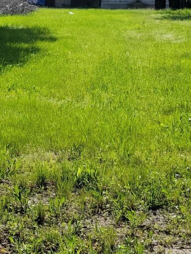 4539 S Evans Ave, Chicago, IL 60653 - photo 3