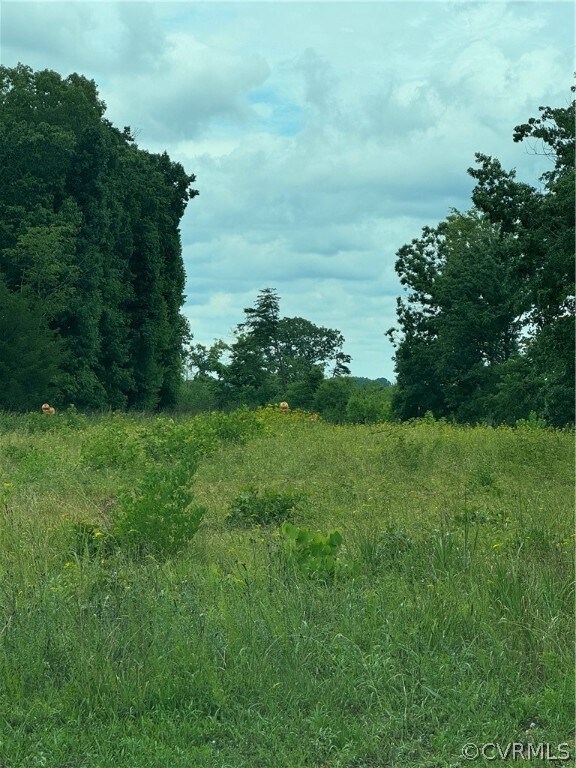 View of landscape