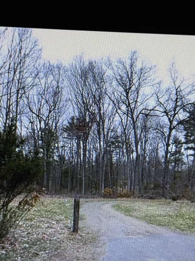 25 Matthew Ln, Windsor, CT 06095 - photo 4