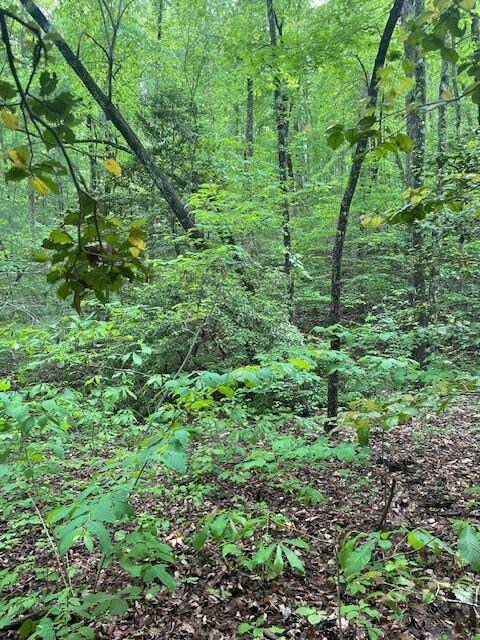 0 Mccormick Dr unit 7568882, Dawsonville, GA 30534 - photo 7