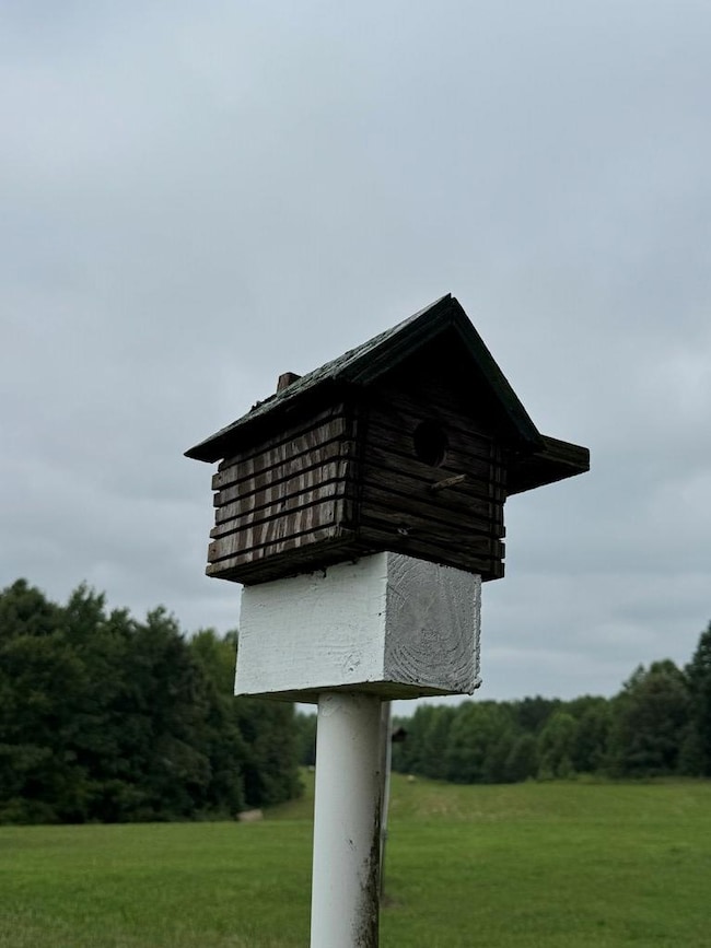 9891 Baskerville Rd, Baskerville, VA 23915 - photo 7